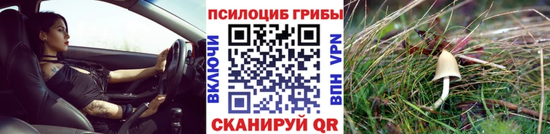 Псилоцибиновые грибы мухоморы  даркнет Telegram  Пермь  хочу  
